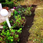 FloraVita Global Hortikultura Zagreb Uređivanje okućnica Rezidba voćnjaka i vinograda Rušenja stabala Čišćenje zaraslih površina Stručno savjetovanje uredjivanje okucnica rezidba vocnjaka i vinograda rusenja stabala ciscenje zaraslih povrsina strucno savjetovanje UREĐIVANJE OKUĆNICA REZIDBA VOĆNJAKA I VINOGRADA RUŠENJA STABALA ČIŠĆENJE ZARASLIH POVRŠINA STRUČNO SAVJETOVANJE Uredivanje okucnica Rezidba vocnjaka i vinograda Rusenja stabala Ciscenje zaraslih povrsina Strucno savjetovanje UREDJIVANJE OKUCNICA REZIDBA VOCNJAKA I VINOGRADA RUSENJA STABALA CISCENJE ZARASLIH POVRSINA STRUCNO SAVJETOVANJE hortikultura-zagreb uredjenje vrtova uredenje vrta krcenje terena rusenje drveca piljenje stabala obaranje drva orezivanje vocki skrešenje loze skresavanje vinograda uredjenje dvorista košenje trave kosenje trave odrzavanje zelenih povrsina održavanje okućnica odrzavanje okucnica FloraVita Vrtlar Zagreb Vrtlarija Zagreb Agronom savjeti krajobrazna arhitektura Flora-Vita Global Zagreb hortikultura uređenje okućnica rezidba voćnjaka vinograda rušenja stabala čišćenje zaraslih površina stručno savjetovanje agronomski savjeti obrezivanje vocaka rezanje loze piljenje drva krcenje sume ciscenje placa sredjivanje dvorista FloraVitaGlobal hortikultura-zagreb-okucnice