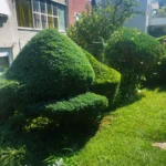 FloraVita Global Hortikultura Zagreb Uređivanje okućnica Rezidba voćnjaka i vinograda Rušenja stabala Čišćenje zaraslih površina Stručno savjetovanje uredjivanje okucnica rezidba vocnjaka i vinograda rusenja stabala ciscenje zaraslih povrsina strucno savjetovanje UREĐIVANJE OKUĆNICA REZIDBA VOĆNJAKA I VINOGRADA RUŠENJA STABALA ČIŠĆENJE ZARASLIH POVRŠINA STRUČNO SAVJETOVANJE Uredivanje okucnica Rezidba vocnjaka i vinograda Rusenja stabala Ciscenje zaraslih povrsina Strucno savjetovanje UREDJIVANJE OKUCNICA REZIDBA VOCNJAKA I VINOGRADA RUSENJA STABALA CISCENJE ZARASLIH POVRSINA STRUCNO SAVJETOVANJE hortikultura-zagreb uredjenje vrtova uredenje vrta krcenje terena rusenje drveca piljenje stabala obaranje drva orezivanje vocki skrešenje loze skresavanje vinograda uredjenje dvorista košenje trave kosenje trave odrzavanje zelenih povrsina održavanje okućnica odrzavanje okucnica FloraVita Vrtlar Zagreb Vrtlarija Zagreb Agronom savjeti krajobrazna arhitektura Flora-Vita Global Zagreb hortikultura uređenje okućnica rezidba voćnjaka vinograda rušenja stabala čišćenje zaraslih površina stručno savjetovanje agronomski savjeti obrezivanje vocaka rezanje loze piljenje drva krcenje sume ciscenje placa sredjivanje dvorista FloraVitaGlobal hortikultura-zagreb-okucnice