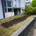FloraVita Global Hortikultura Zagreb Uređivanje okućnica Rezidba voćnjaka i vinograda Rušenja stabala Čišćenje zaraslih površina Stručno savjetovanje uredjivanje okucnica rezidba vocnjaka i vinograda rusenja stabala ciscenje zaraslih povrsina strucno savjetovanje UREĐIVANJE OKUĆNICA REZIDBA VOĆNJAKA I VINOGRADA RUŠENJA STABALA ČIŠĆENJE ZARASLIH POVRŠINA STRUČNO SAVJETOVANJE Uredivanje okucnica Rezidba vocnjaka i vinograda Rusenja stabala Ciscenje zaraslih povrsina Strucno savjetovanje UREDJIVANJE OKUCNICA REZIDBA VOCNJAKA I VINOGRADA RUSENJA STABALA CISCENJE ZARASLIH POVRSINA STRUCNO SAVJETOVANJE hortikultura-zagreb uredjenje vrtova uredenje vrta krcenje terena rusenje drveca piljenje stabala obaranje drva orezivanje vocki skrešenje loze skresavanje vinograda uredjenje dvorista košenje trave kosenje trave odrzavanje zelenih povrsina održavanje okućnica odrzavanje okucnica FloraVita Vrtlar Zagreb Vrtlarija Zagreb Agronom savjeti krajobrazna arhitektura Flora-Vita Global Zagreb hortikultura uređenje okućnica rezidba voćnjaka vinograda rušenja stabala čišćenje zaraslih površina stručno savjetovanje agronomski savjeti obrezivanje vocaka rezanje loze piljenje drva krcenje sume ciscenje placa sredjivanje dvorista FloraVitaGlobal hortikultura-zagreb-okucnice