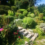 FloraVita Global Hortikultura Zagreb Uređivanje okućnica Rezidba voćnjaka i vinograda Rušenja stabala Čišćenje zaraslih površina Stručno savjetovanje uredjivanje okucnica rezidba vocnjaka i vinograda rusenja stabala ciscenje zaraslih povrsina strucno savjetovanje UREĐIVANJE OKUĆNICA REZIDBA VOĆNJAKA I VINOGRADA RUŠENJA STABALA ČIŠĆENJE ZARASLIH POVRŠINA STRUČNO SAVJETOVANJE Uredivanje okucnica Rezidba vocnjaka i vinograda Rusenja stabala Ciscenje zaraslih povrsina Strucno savjetovanje UREDJIVANJE OKUCNICA REZIDBA VOCNJAKA I VINOGRADA RUSENJA STABALA CISCENJE ZARASLIH POVRSINA STRUCNO SAVJETOVANJE hortikultura-zagreb uredjenje vrtova uredenje vrta krcenje terena rusenje drveca piljenje stabala obaranje drva orezivanje vocki skrešenje loze skresavanje vinograda uredjenje dvorista košenje trave kosenje trave odrzavanje zelenih povrsina održavanje okućnica odrzavanje okucnica FloraVita Vrtlar Zagreb Vrtlarija Zagreb Agronom savjeti krajobrazna arhitektura Flora-Vita Global Zagreb hortikultura uređenje okućnica rezidba voćnjaka vinograda rušenja stabala čišćenje zaraslih površina stručno savjetovanje agronomski savjeti obrezivanje vocaka rezanje loze piljenje drva krcenje sume ciscenje placa sredjivanje dvorista FloraVitaGlobal hortikultura-zagreb-okucnice