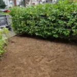 FloraVita Global Hortikultura Zagreb Uređivanje okućnica Rezidba voćnjaka i vinograda Rušenja stabala Čišćenje zaraslih površina Stručno savjetovanje uredjivanje okucnica rezidba vocnjaka i vinograda rusenja stabala ciscenje zaraslih povrsina strucno savjetovanje UREĐIVANJE OKUĆNICA REZIDBA VOĆNJAKA I VINOGRADA RUŠENJA STABALA ČIŠĆENJE ZARASLIH POVRŠINA STRUČNO SAVJETOVANJE Uredivanje okucnica Rezidba vocnjaka i vinograda Rusenja stabala Ciscenje zaraslih povrsina Strucno savjetovanje UREDJIVANJE OKUCNICA REZIDBA VOCNJAKA I VINOGRADA RUSENJA STABALA CISCENJE ZARASLIH POVRSINA STRUCNO SAVJETOVANJE hortikultura-zagreb uredjenje vrtova uredenje vrta krcenje terena rusenje drveca piljenje stabala obaranje drva orezivanje vocki skrešenje loze skresavanje vinograda uredjenje dvorista košenje trave kosenje trave odrzavanje zelenih povrsina održavanje okućnica odrzavanje okucnica FloraVita Vrtlar Zagreb Vrtlarija Zagreb Agronom savjeti krajobrazna arhitektura Flora-Vita Global Zagreb hortikultura uređenje okućnica rezidba voćnjaka vinograda rušenja stabala čišćenje zaraslih površina stručno savjetovanje agronomski savjeti obrezivanje vocaka rezanje loze piljenje drva krcenje sume ciscenje placa sredjivanje dvorista FloraVitaGlobal hortikultura-zagreb-okucnice