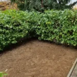 FloraVita Global Hortikultura Zagreb Uređivanje okućnica Rezidba voćnjaka i vinograda Rušenja stabala Čišćenje zaraslih površina Stručno savjetovanje uredjivanje okucnica rezidba vocnjaka i vinograda rusenja stabala ciscenje zaraslih povrsina strucno savjetovanje UREĐIVANJE OKUĆNICA REZIDBA VOĆNJAKA I VINOGRADA RUŠENJA STABALA ČIŠĆENJE ZARASLIH POVRŠINA STRUČNO SAVJETOVANJE Uredivanje okucnica Rezidba vocnjaka i vinograda Rusenja stabala Ciscenje zaraslih povrsina Strucno savjetovanje UREDJIVANJE OKUCNICA REZIDBA VOCNJAKA I VINOGRADA RUSENJA STABALA CISCENJE ZARASLIH POVRSINA STRUCNO SAVJETOVANJE hortikultura-zagreb uredjenje vrtova uredenje vrta krcenje terena rusenje drveca piljenje stabala obaranje drva orezivanje vocki skrešenje loze skresavanje vinograda uredjenje dvorista košenje trave kosenje trave odrzavanje zelenih povrsina održavanje okućnica odrzavanje okucnica FloraVita Vrtlar Zagreb Vrtlarija Zagreb Agronom savjeti krajobrazna arhitektura Flora-Vita Global Zagreb hortikultura uređenje okućnica rezidba voćnjaka vinograda rušenja stabala čišćenje zaraslih površina stručno savjetovanje agronomski savjeti obrezivanje vocaka rezanje loze piljenje drva krcenje sume ciscenje placa sredjivanje dvorista FloraVitaGlobal hortikultura-zagreb-okucnice