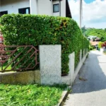 FloraVita Global Hortikultura Zagreb Uređivanje okućnica Rezidba voćnjaka i vinograda Rušenja stabala Čišćenje zaraslih površina Stručno savjetovanje uredjivanje okucnica rezidba vocnjaka i vinograda rusenja stabala ciscenje zaraslih povrsina strucno savjetovanje UREĐIVANJE OKUĆNICA REZIDBA VOĆNJAKA I VINOGRADA RUŠENJA STABALA ČIŠĆENJE ZARASLIH POVRŠINA STRUČNO SAVJETOVANJE Uredivanje okucnica Rezidba vocnjaka i vinograda Rusenja stabala Ciscenje zaraslih povrsina Strucno savjetovanje UREDJIVANJE OKUCNICA REZIDBA VOCNJAKA I VINOGRADA RUSENJA STABALA CISCENJE ZARASLIH POVRSINA STRUCNO SAVJETOVANJE hortikultura-zagreb uredjenje vrtova uredenje vrta krcenje terena rusenje drveca piljenje stabala obaranje drva orezivanje vocki skrešenje loze skresavanje vinograda uredjenje dvorista košenje trave kosenje trave odrzavanje zelenih povrsina održavanje okućnica odrzavanje okucnica FloraVita Vrtlar Zagreb Vrtlarija Zagreb Agronom savjeti krajobrazna arhitektura Flora-Vita Global Zagreb hortikultura uređenje okućnica rezidba voćnjaka vinograda rušenja stabala čišćenje zaraslih površina stručno savjetovanje agronomski savjeti obrezivanje vocaka rezanje loze piljenje drva krcenje sume ciscenje placa sredjivanje dvorista FloraVitaGlobal hortikultura-zagreb-okucnice