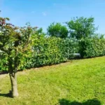 FloraVita Global Hortikultura Zagreb Uređivanje okućnica Rezidba voćnjaka i vinograda Rušenja stabala Čišćenje zaraslih površina Stručno savjetovanje uredjivanje okucnica rezidba vocnjaka i vinograda rusenja stabala ciscenje zaraslih povrsina strucno savjetovanje UREĐIVANJE OKUĆNICA REZIDBA VOĆNJAKA I VINOGRADA RUŠENJA STABALA ČIŠĆENJE ZARASLIH POVRŠINA STRUČNO SAVJETOVANJE Uredivanje okucnica Rezidba vocnjaka i vinograda Rusenja stabala Ciscenje zaraslih povrsina Strucno savjetovanje UREDJIVANJE OKUCNICA REZIDBA VOCNJAKA I VINOGRADA RUSENJA STABALA CISCENJE ZARASLIH POVRSINA STRUCNO SAVJETOVANJE hortikultura-zagreb uredjenje vrtova uredenje vrta krcenje terena rusenje drveca piljenje stabala obaranje drva orezivanje vocki skrešenje loze skresavanje vinograda uredjenje dvorista košenje trave kosenje trave odrzavanje zelenih povrsina održavanje okućnica odrzavanje okucnica FloraVita Vrtlar Zagreb Vrtlarija Zagreb Agronom savjeti krajobrazna arhitektura Flora-Vita Global Zagreb hortikultura uređenje okućnica rezidba voćnjaka vinograda rušenja stabala čišćenje zaraslih površina stručno savjetovanje agronomski savjeti obrezivanje vocaka rezanje loze piljenje drva krcenje sume ciscenje placa sredjivanje dvorista FloraVitaGlobal hortikultura-zagreb-okucnice