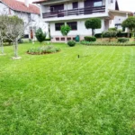 FloraVita Global Hortikultura Zagreb Uređivanje okućnica Rezidba voćnjaka i vinograda Rušenja stabala Čišćenje zaraslih površina Stručno savjetovanje uredjivanje okucnica rezidba vocnjaka i vinograda rusenja stabala ciscenje zaraslih povrsina strucno savjetovanje UREĐIVANJE OKUĆNICA REZIDBA VOĆNJAKA I VINOGRADA RUŠENJA STABALA ČIŠĆENJE ZARASLIH POVRŠINA STRUČNO SAVJETOVANJE Uredivanje okucnica Rezidba vocnjaka i vinograda Rusenja stabala Ciscenje zaraslih povrsina Strucno savjetovanje UREDJIVANJE OKUCNICA REZIDBA VOCNJAKA I VINOGRADA RUSENJA STABALA CISCENJE ZARASLIH POVRSINA STRUCNO SAVJETOVANJE hortikultura-zagreb uredjenje vrtova uredenje vrta krcenje terena rusenje drveca piljenje stabala obaranje drva orezivanje vocki skrešenje loze skresavanje vinograda uredjenje dvorista košenje trave kosenje trave odrzavanje zelenih povrsina održavanje okućnica odrzavanje okucnica FloraVita Vrtlar Zagreb Vrtlarija Zagreb Agronom savjeti krajobrazna arhitektura Flora-Vita Global Zagreb hortikultura uređenje okućnica rezidba voćnjaka vinograda rušenja stabala čišćenje zaraslih površina stručno savjetovanje agronomski savjeti obrezivanje vocaka rezanje loze piljenje drva krcenje sume ciscenje placa sredjivanje dvorista FloraVitaGlobal hortikultura-zagreb-okucnice