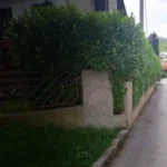 FloraVita Global Hortikultura Zagreb Uređivanje okućnica Rezidba voćnjaka i vinograda Rušenja stabala Čišćenje zaraslih površina Stručno savjetovanje uredjivanje okucnica rezidba vocnjaka i vinograda rusenja stabala ciscenje zaraslih povrsina strucno savjetovanje UREĐIVANJE OKUĆNICA REZIDBA VOĆNJAKA I VINOGRADA RUŠENJA STABALA ČIŠĆENJE ZARASLIH POVRŠINA STRUČNO SAVJETOVANJE Uredivanje okucnica Rezidba vocnjaka i vinograda Rusenja stabala Ciscenje zaraslih povrsina Strucno savjetovanje UREDJIVANJE OKUCNICA REZIDBA VOCNJAKA I VINOGRADA RUSENJA STABALA CISCENJE ZARASLIH POVRSINA STRUCNO SAVJETOVANJE hortikultura-zagreb uredjenje vrtova uredenje vrta krcenje terena rusenje drveca piljenje stabala obaranje drva orezivanje vocki skrešenje loze skresavanje vinograda uredjenje dvorista košenje trave kosenje trave odrzavanje zelenih povrsina održavanje okućnica odrzavanje okucnica FloraVita Vrtlar Zagreb Vrtlarija Zagreb Agronom savjeti krajobrazna arhitektura Flora-Vita Global Zagreb hortikultura uređenje okućnica rezidba voćnjaka vinograda rušenja stabala čišćenje zaraslih površina stručno savjetovanje agronomski savjeti obrezivanje vocaka rezanje loze piljenje drva krcenje sume ciscenje placa sredjivanje dvorista FloraVitaGlobal hortikultura-zagreb-okucnice