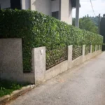 FloraVita Global Hortikultura Zagreb Uređivanje okućnica Rezidba voćnjaka i vinograda Rušenja stabala Čišćenje zaraslih površina Stručno savjetovanje uredjivanje okucnica rezidba vocnjaka i vinograda rusenja stabala ciscenje zaraslih povrsina strucno savjetovanje UREĐIVANJE OKUĆNICA REZIDBA VOĆNJAKA I VINOGRADA RUŠENJA STABALA ČIŠĆENJE ZARASLIH POVRŠINA STRUČNO SAVJETOVANJE Uredivanje okucnica Rezidba vocnjaka i vinograda Rusenja stabala Ciscenje zaraslih povrsina Strucno savjetovanje UREDJIVANJE OKUCNICA REZIDBA VOCNJAKA I VINOGRADA RUSENJA STABALA CISCENJE ZARASLIH POVRSINA STRUCNO SAVJETOVANJE hortikultura-zagreb uredjenje vrtova uredenje vrta krcenje terena rusenje drveca piljenje stabala obaranje drva orezivanje vocki skrešenje loze skresavanje vinograda uredjenje dvorista košenje trave kosenje trave odrzavanje zelenih povrsina održavanje okućnica odrzavanje okucnica FloraVita Vrtlar Zagreb Vrtlarija Zagreb Agronom savjeti krajobrazna arhitektura Flora-Vita Global Zagreb hortikultura uređenje okućnica rezidba voćnjaka vinograda rušenja stabala čišćenje zaraslih površina stručno savjetovanje agronomski savjeti obrezivanje vocaka rezanje loze piljenje drva krcenje sume ciscenje placa sredjivanje dvorista FloraVitaGlobal hortikultura-zagreb-okucnice