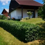 FloraVita Global Hortikultura Zagreb Uređivanje okućnica Rezidba voćnjaka i vinograda Rušenja stabala Čišćenje zaraslih površina Stručno savjetovanje uredjivanje okucnica rezidba vocnjaka i vinograda rusenja stabala ciscenje zaraslih povrsina strucno savjetovanje UREĐIVANJE OKUĆNICA REZIDBA VOĆNJAKA I VINOGRADA RUŠENJA STABALA ČIŠĆENJE ZARASLIH POVRŠINA STRUČNO SAVJETOVANJE Uredivanje okucnica Rezidba vocnjaka i vinograda Rusenja stabala Ciscenje zaraslih povrsina Strucno savjetovanje UREDJIVANJE OKUCNICA REZIDBA VOCNJAKA I VINOGRADA RUSENJA STABALA CISCENJE ZARASLIH POVRSINA STRUCNO SAVJETOVANJE hortikultura-zagreb uredjenje vrtova uredenje vrta krcenje terena rusenje drveca piljenje stabala obaranje drva orezivanje vocki skrešenje loze skresavanje vinograda uredjenje dvorista košenje trave kosenje trave odrzavanje zelenih povrsina održavanje okućnica odrzavanje okucnica FloraVita Vrtlar Zagreb Vrtlarija Zagreb Agronom savjeti krajobrazna arhitektura Flora-Vita Global Zagreb hortikultura uređenje okućnica rezidba voćnjaka vinograda rušenja stabala čišćenje zaraslih površina stručno savjetovanje agronomski savjeti obrezivanje vocaka rezanje loze piljenje drva krcenje sume ciscenje placa sredjivanje dvorista FloraVitaGlobal hortikultura-zagreb-okucnice