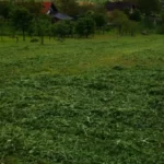 FloraVita Global Hortikultura Zagreb Uređivanje okućnica Rezidba voćnjaka i vinograda Rušenja stabala Čišćenje zaraslih površina Stručno savjetovanje uredjivanje okucnica rezidba vocnjaka i vinograda rusenja stabala ciscenje zaraslih povrsina strucno savjetovanje UREĐIVANJE OKUĆNICA REZIDBA VOĆNJAKA I VINOGRADA RUŠENJA STABALA ČIŠĆENJE ZARASLIH POVRŠINA STRUČNO SAVJETOVANJE Uredivanje okucnica Rezidba vocnjaka i vinograda Rusenja stabala Ciscenje zaraslih povrsina Strucno savjetovanje UREDJIVANJE OKUCNICA REZIDBA VOCNJAKA I VINOGRADA RUSENJA STABALA CISCENJE ZARASLIH POVRSINA STRUCNO SAVJETOVANJE hortikultura-zagreb uredjenje vrtova uredenje vrta krcenje terena rusenje drveca piljenje stabala obaranje drva orezivanje vocki skrešenje loze skresavanje vinograda uredjenje dvorista košenje trave kosenje trave odrzavanje zelenih povrsina održavanje okućnica odrzavanje okucnica FloraVita Vrtlar Zagreb Vrtlarija Zagreb Agronom savjeti krajobrazna arhitektura Flora-Vita Global Zagreb hortikultura uređenje okućnica rezidba voćnjaka vinograda rušenja stabala čišćenje zaraslih površina stručno savjetovanje agronomski savjeti obrezivanje vocaka rezanje loze piljenje drva krcenje sume ciscenje placa sredjivanje dvorista FloraVitaGlobal hortikultura-zagreb-okucnice